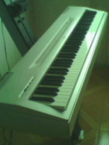 IMG0099A.jpg