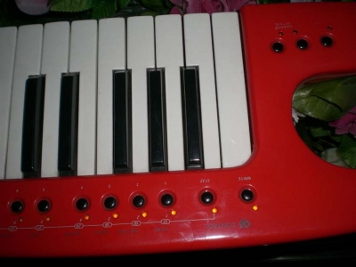 CIMG3800.jpg