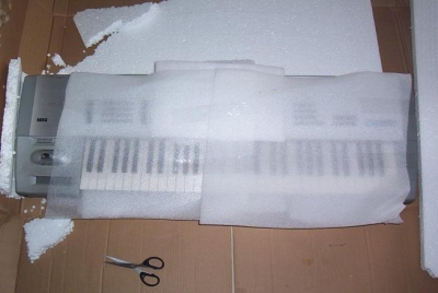 ������һ����ĭֽ