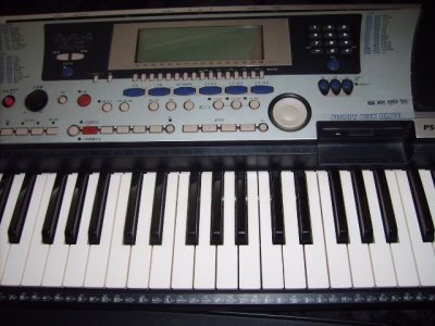 S5001709.JPG