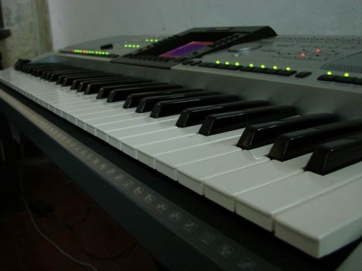 6.JPG