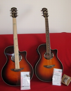 ���һ����ȫ�¡�