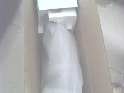 IMG0268A.jpg