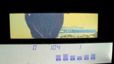 ������С ������С DSC01751.JPG