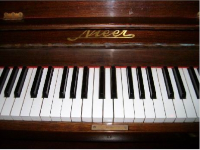 ������ĺܰ�