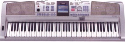 305.jpg