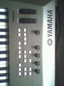 IMG0008A.jpg