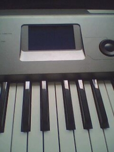 IMG0010A.jpg