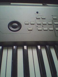 IMG0011A.jpg