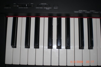 P005.jpg