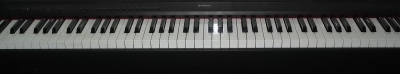 DSC02991A.jpg