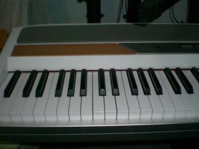 CIMG4625.jpg