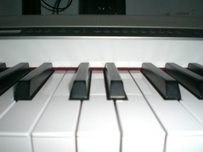 CIMG4628.jpg