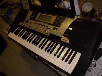 psr550 1.jpg