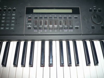 P1000209.jpg