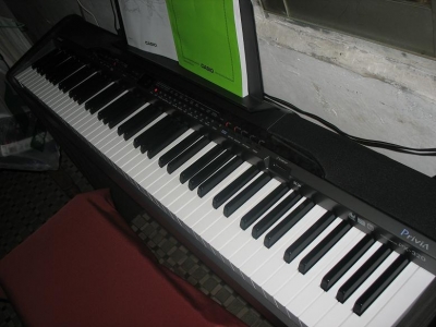 003.JPG