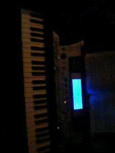 IMG0009A.GIF