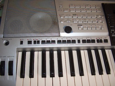 ����������ɫ���