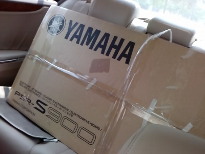 �����ҵĳ�������