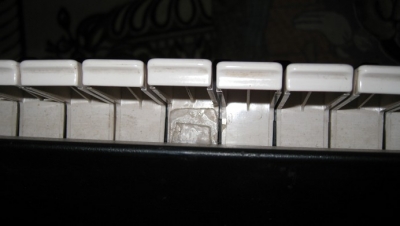 4444444.jpg