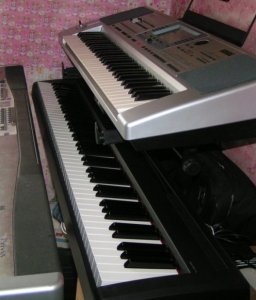 555.jpg