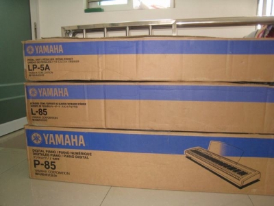 P85 007.jpg