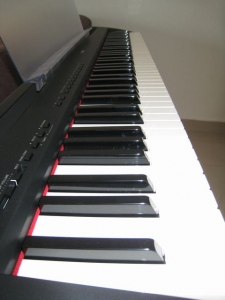 P85 009.jpg
