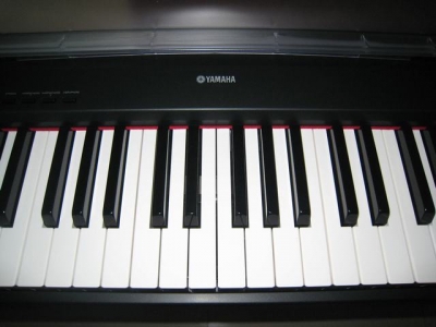 P85 011.jpg