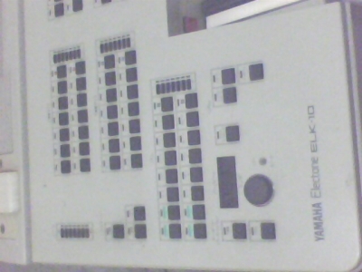 IMG0174A.jpg