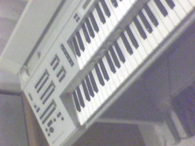 IMG0175A.jpg