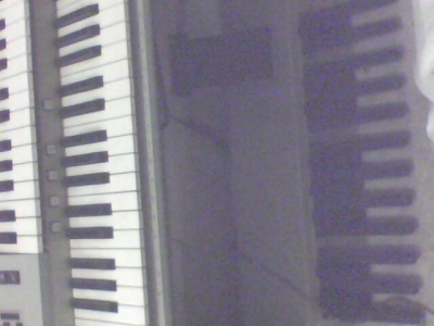 IMG0176A.jpg