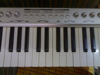 20090918285.jpg