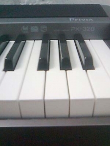 c1.jpg