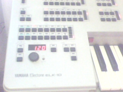 IMG0201A.jpg