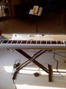 Ƭ-0530.jpg