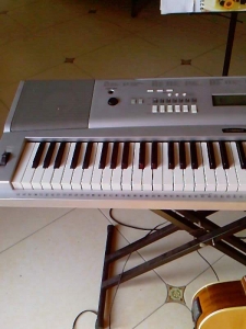 Ƭ-0533.jpg