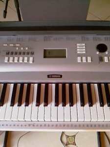 Ƭ-0543.jpg