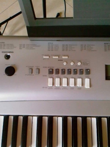 Ƭ-0544.jpg