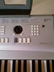 Ƭ-0545.jpg