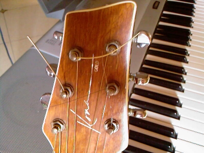 Ƭ-0547.jpg