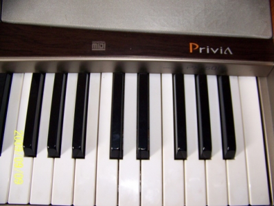 003-1.JPG