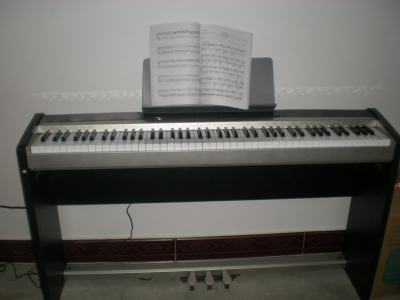 DSCN4143.jpg