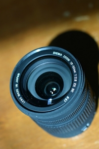 2300330.jpg