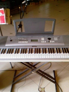 Ƭ-0539.jpg