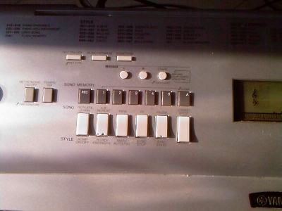 Ƭ-0532.jpg