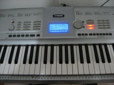 04.jpg