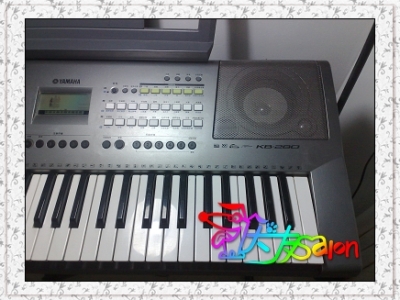 nEO_IMG_20091012189.jpg