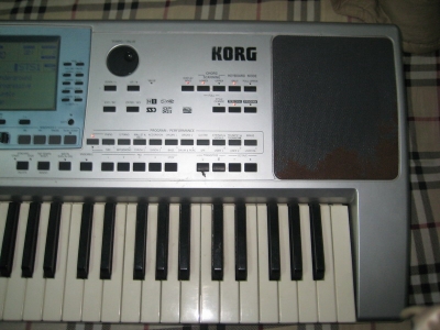 29.JPG