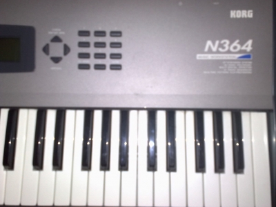20091104264.jpg