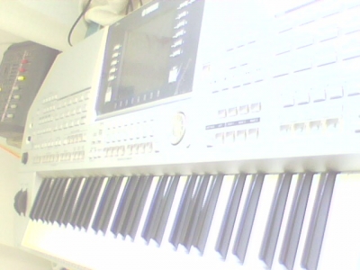 IMG0205A.jpg
